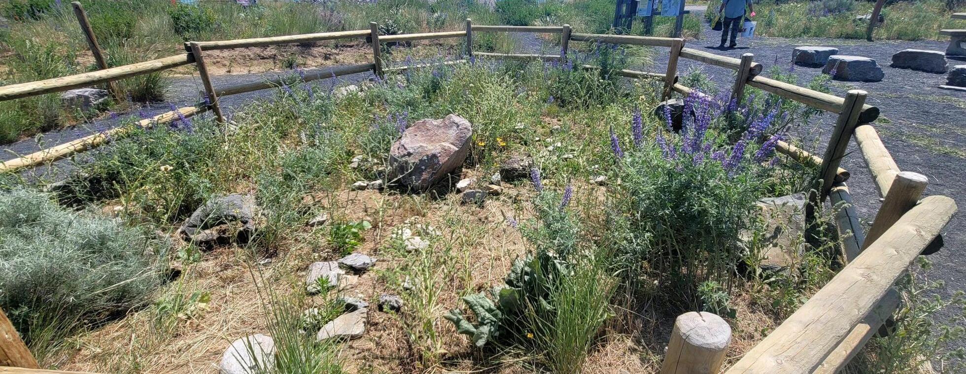 Oct. 26 PM: Volunteer at Horse Lake - Native Flower Planting & Mulching